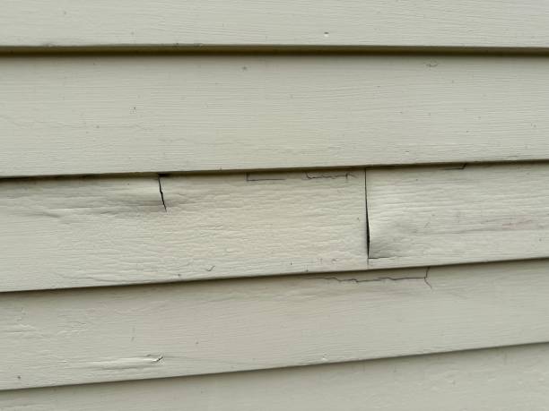  Arroyo Grande, CA Siding Installation & Repair Pros